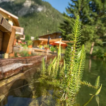 Am Burggraben لوتاش